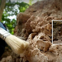 Tengkorak manusia berusia 10,000 tahun ditemui di Perlis