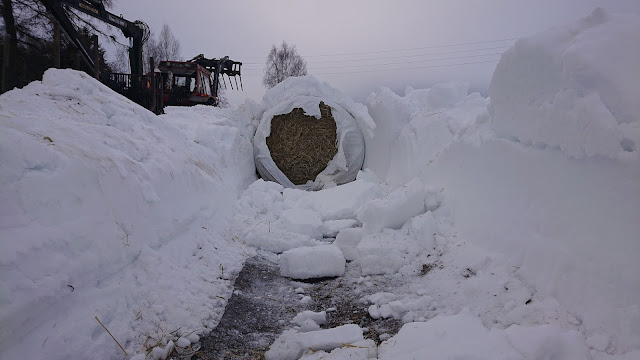 tuubikääritty paali