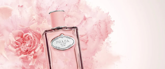 portada-prada-infusion-de-rose