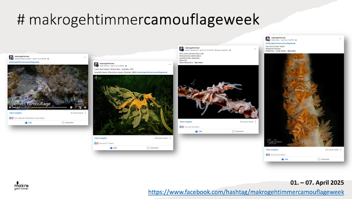 Makrogehtimmercamouflageweek 2025