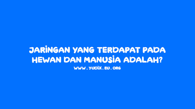 Jaringan yang terdapat pada hewan dan manusia adalah?