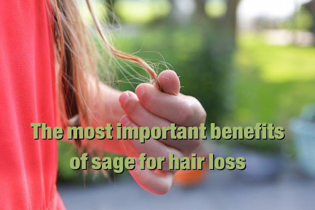 sage is one of the herbs of the Mediterranean region known for its many health benefits, and one of the benefits of sage for hair is that it helps reduce hair loss and makes hair healthy, strong and grow faster.