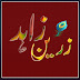 Zareen Zahid thoughts