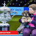 Crufts Dog Show 2022 Live Streams Online