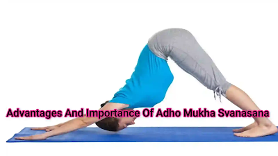 Advantages And Importance Of Adho Mukha Svanasana