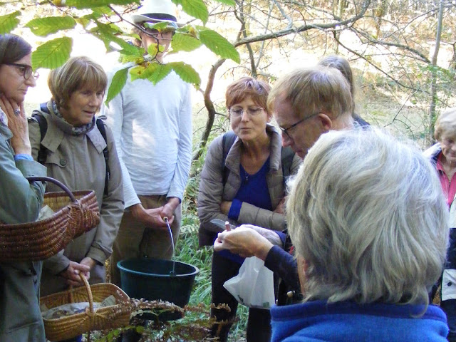 A fungi expert talking about how to identify a mushroom species, Indre et Loire, France. Photo by Loire Valley Time Travel.