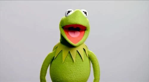 Green Sesame Street Characters Kermit the Frog