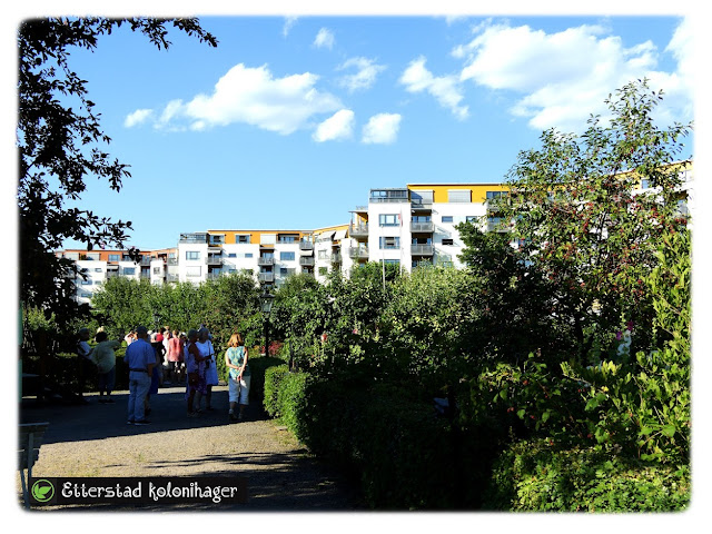 Sommerparadiset  Etterstad kolonihager i Etterstadgata 18C øverst på Vålerenga i Oslo.