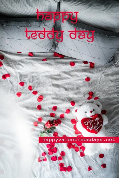 love teddy day images