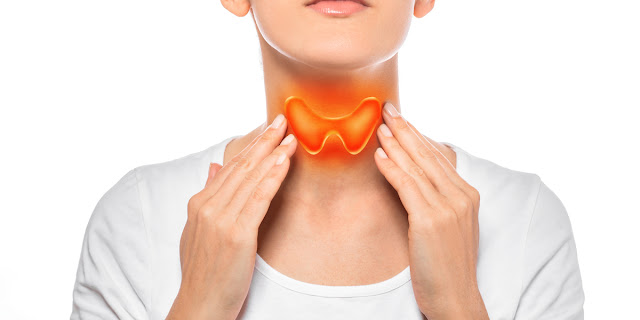 Why do we eat thyroid medicine with an empty stomach?