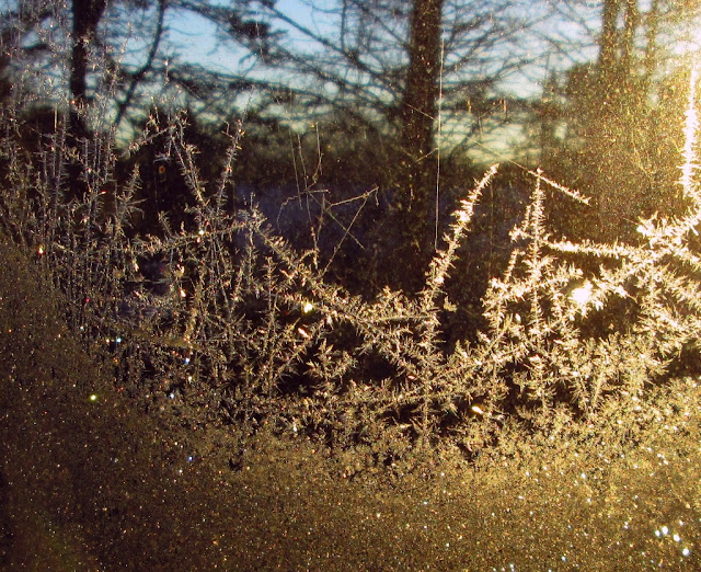 Frost on window 3 of 3