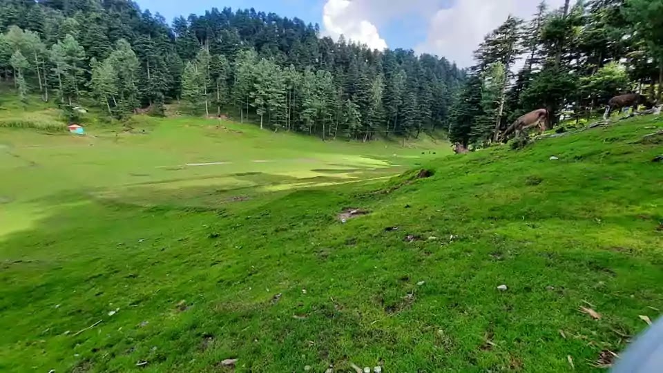 Trip to Sirikot (Muzaffarabad) Azad Kashmir via Shaheed Gali