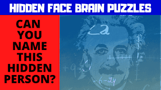 Hidden Face Puzzles with Answers