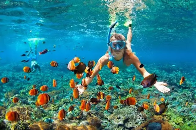 Snorkeling In The Yucatan Peninsula