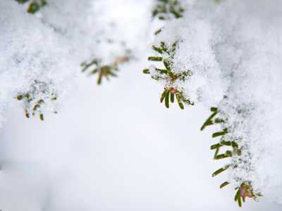 Biblical Meaning of Snow in Dreams