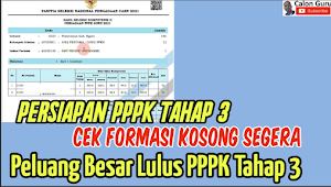 LENGKAP, DAFTAR FORMASI PPPK 2022 Kabupaten Dan Kota Seluruh Indonesia, Cek Daerah Anda!