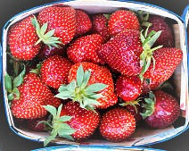 Strawberries can be used in sweet yogurt, cottage cheese, hot and cold cereals.