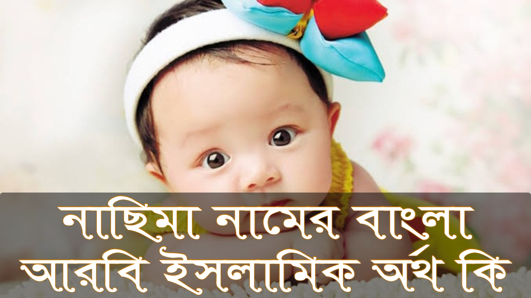 নাছিমা নামের অর্থ কি, Nasima name meaning, নাছিমা নামের বাংলা অর্থ কি, Nasima namer ortho ki, নাছিমা নামের আরবি অর্থ কি, নাছিমা নামের ইসলামিক অর্থ কি, Nasima name meaning in Bengali Arabic and Islamic, নাছিমা কি আরবি/ইসলামিক নাম