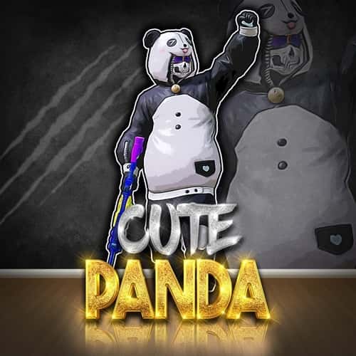 Cute Panda