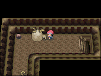 Pokemon Following Platinum Screenshot 05