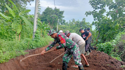 Kemanunggalan TNI-Rakyat Terjalin Kuat Babinsa Bergotong Royong Membuka Jalan Usaha Tani