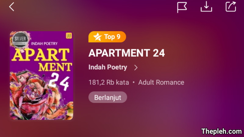Novel Apartment 24