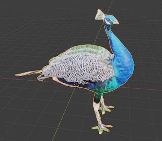 Peacock Bird free 3d models blender obj fbx low poly