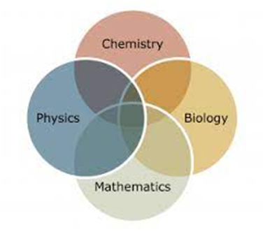 Importance of biology as an integral part of other field of Science like Mathematics,Physics and Chemistry.