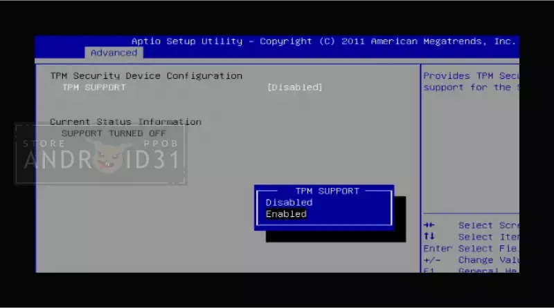 Set TPM 2.0 BIOS Windows 11