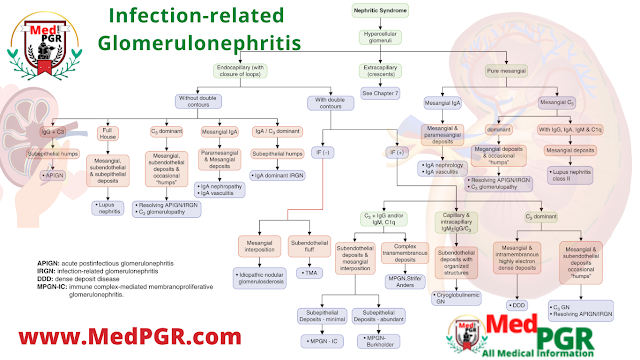 Infection-related  Glomerulonephritis