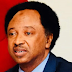 2022 World Cup: Why Gernot Rohr can’t be sacked – Shehu Sani