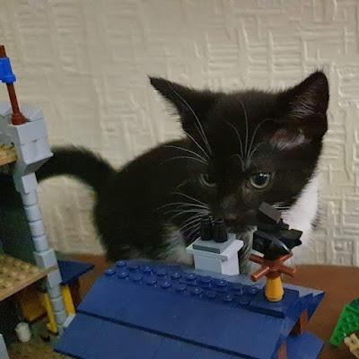 Small kitten playing behind a LEGO house