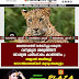 മലയോരത്ത് വർദ്ധിച്ചു വരുന്ന  വന്യമൃഗ ശല്യത്തിന്  ശാശ്വത പരിഹാരം കാണണം ; ബളാൽ അരീങ്കല്ല്  ഡോ:അംബേദ്കർ കുടുംബകൂട്ടം 