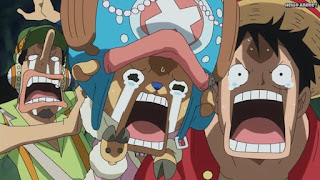 ワンピースアニメ ゾウ編 769話 ルフィ チョッパー ウソップ | ONE PIECE Episode 769