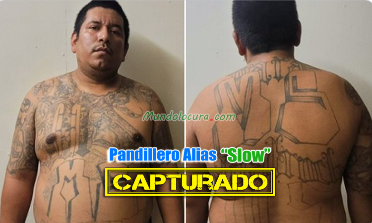 El Salvador: Capturan a alias "Slow" pandillero atemorizaba a la población de la colonia Cinco Cedros en Colón, La Libertad