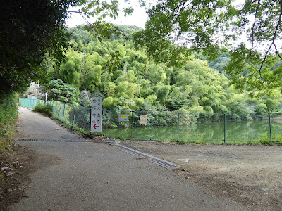 【大東市】野崎新池（野崎不動尊・寳塔神社へと続く道）