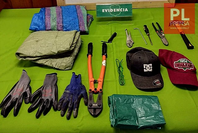 🚨Frustran robo en el centro de la ciudad de Purranque