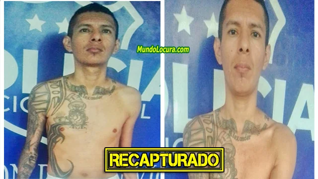 El Salvador: Recapturan a alias «El Big», pandillero fue detenido afuera del penal de San Vicente tras cumplir una condena