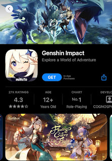 Game Genshon Impact