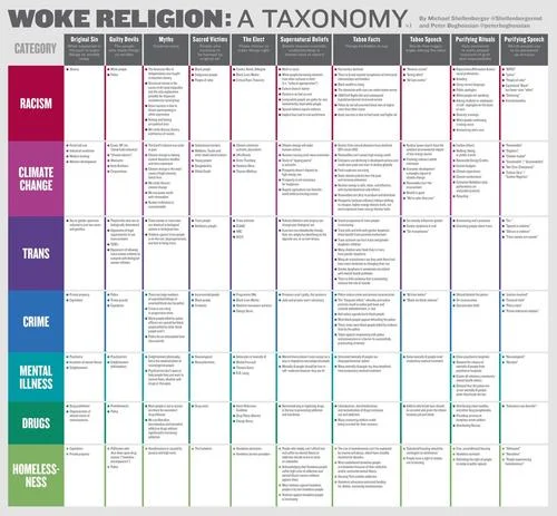 he woke religion, however, is not the way to stop these moral horrors. It is making our shared problems more difficult to solve.”