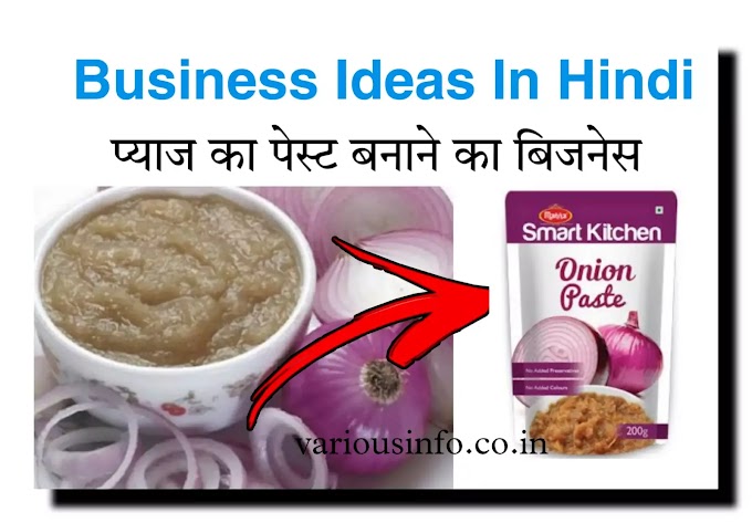 प्याज का पेस्ट बनाने का बिजनेस से कितना फायदा और कैसे शुरू करें | Onion Paste Business Ideas in hindi