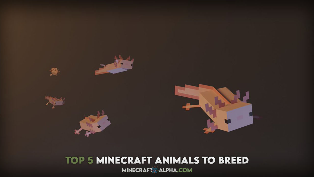 Top 5 Minecraft Animals To Breed