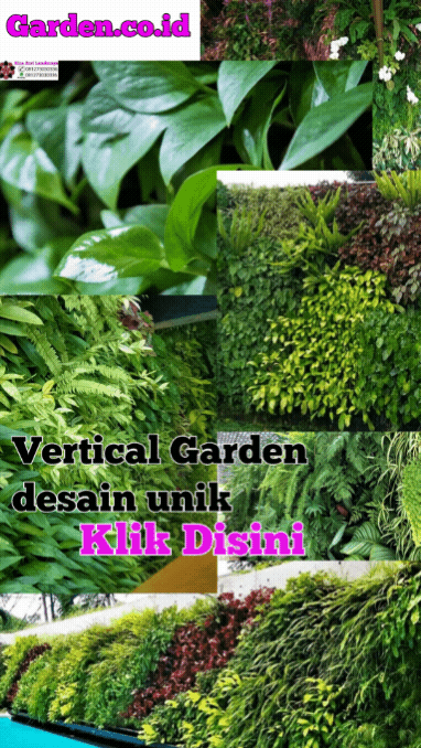 Vertical Garden, Desain Taman Penghias Dinding Yang Cantik & Hijau