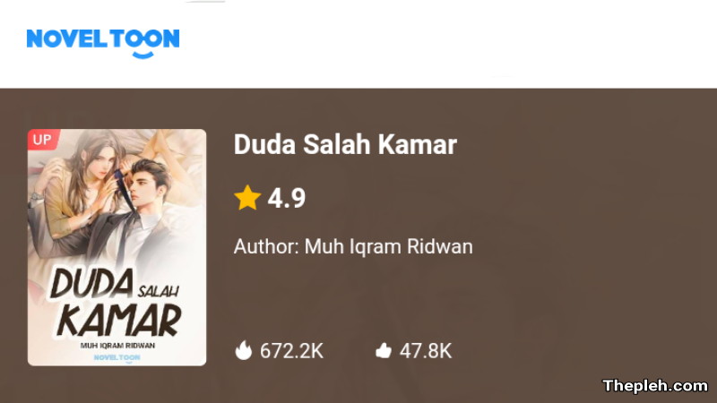 Novel Duda Salah Kamar