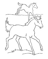 Horse and colt coloring page for children