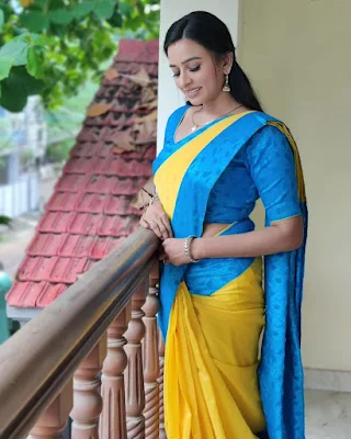 Serial Actress Divya ganesh beautiful saree stills