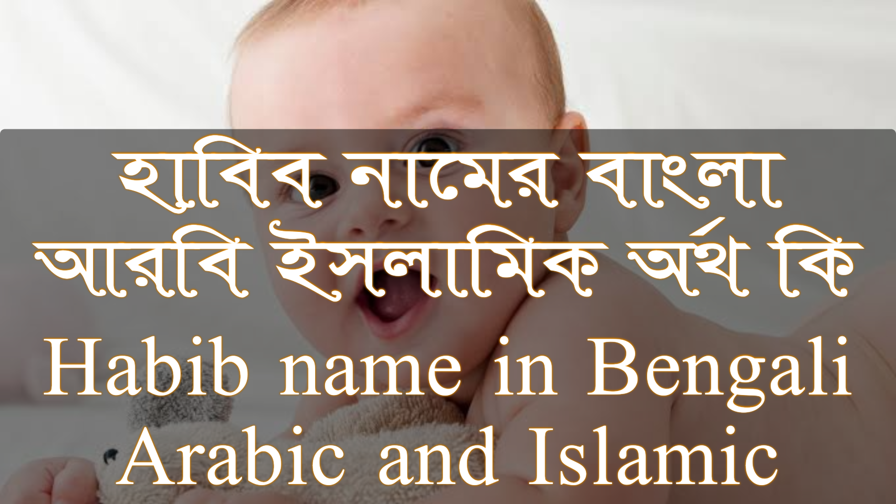 হাবিব নামের অর্থ কি, Habib name meaning, হাবিব নামের বাংলা অর্থ কি, Habib namer ortho ki, হাবিব নামের আরবি অর্থ কি, হাবিব নামের ইসলামিক অর্থ কি, Habib name meaning in Bengali Arabic and Islamic, হাবিব কি আরবি/ইসলামিক নাম