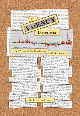 The Agency Discussions<br>ISBN: 9798985520200