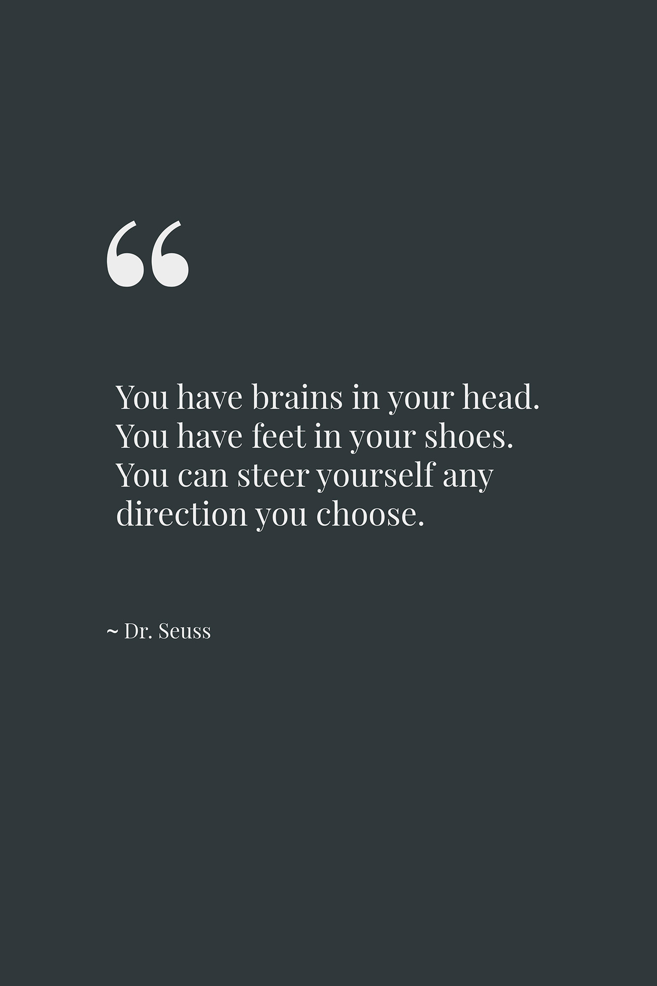 You have brains in your head. You have feet in your shoes. You can steer yourself any direction you choose. ~ Dr. Seuss