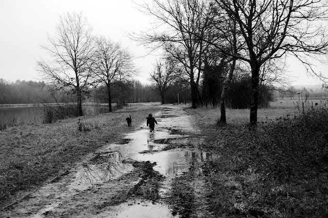 rive del la Vilaine, chemin de halage à Saint Nicolas de Redon